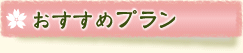 おすすめプラン
